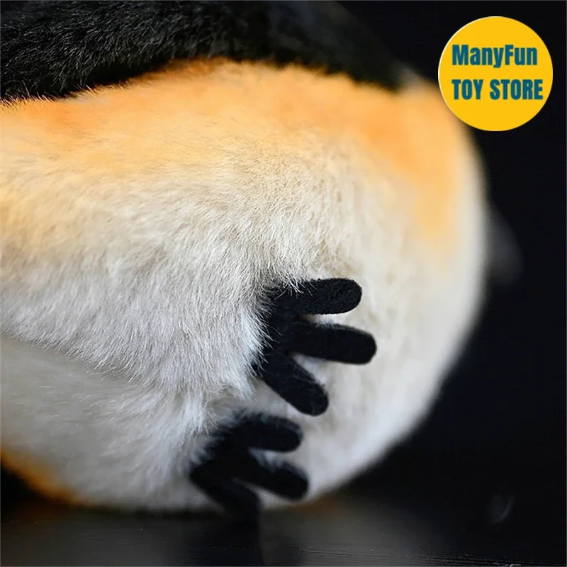 Shrike ألعاب من نسيج مخملي جزار الطيور بلوشي لانيوس شاتش Peluche موزو نابض بالحياة الطيور الحيوانات المحشوة محاكاة دمية لعبة أطفال
