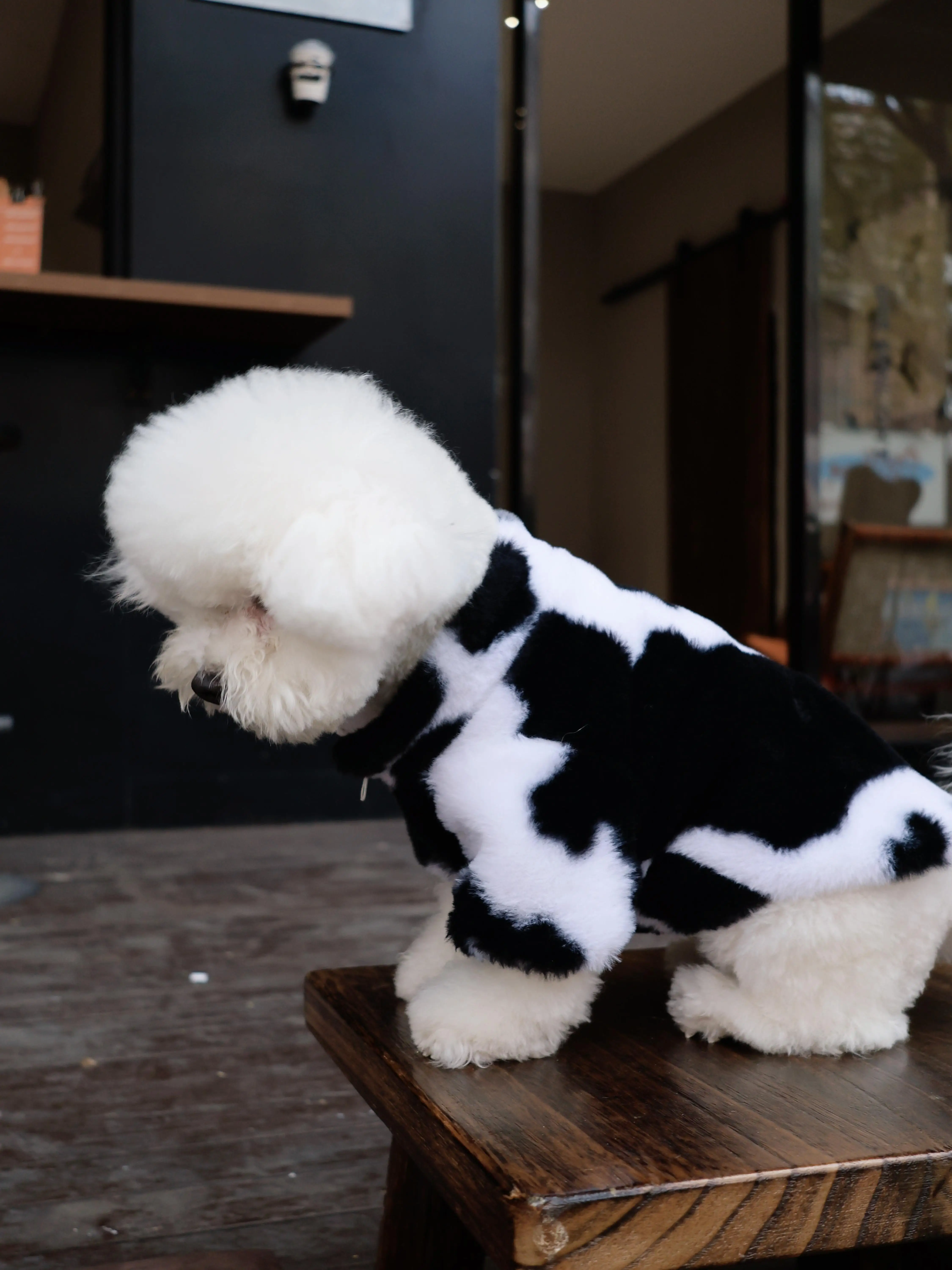 Thumbnail 3 - #14 Pet Apparels List of Top Picks