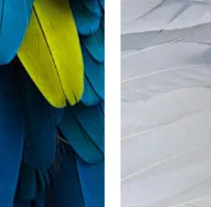 Android Multimedia … - image