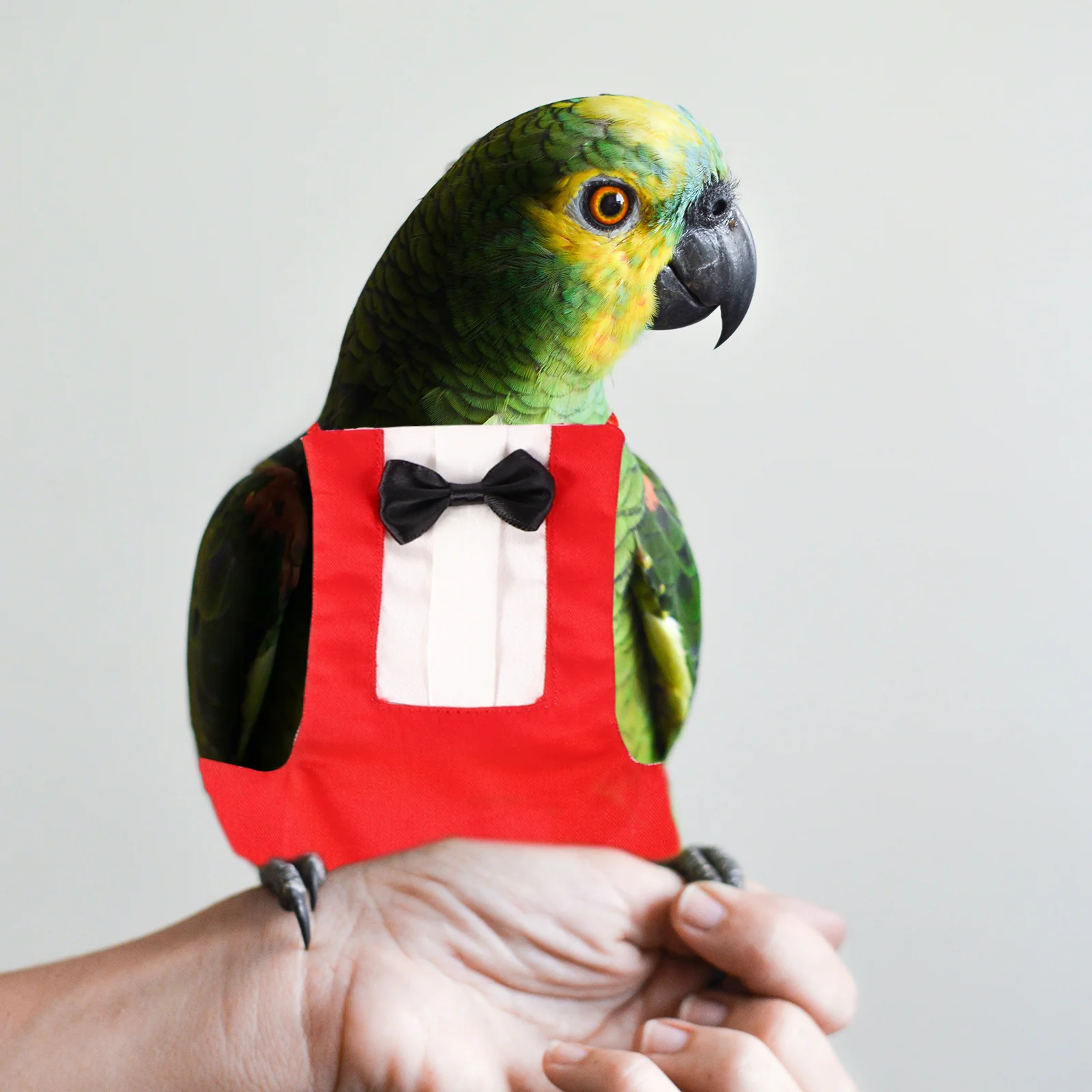 

2Pcs Parrot Flight Suit Pet Bird Diaper Washable Cotton Bowknot Design Comfortable Reusable for Budgie Cockatiel