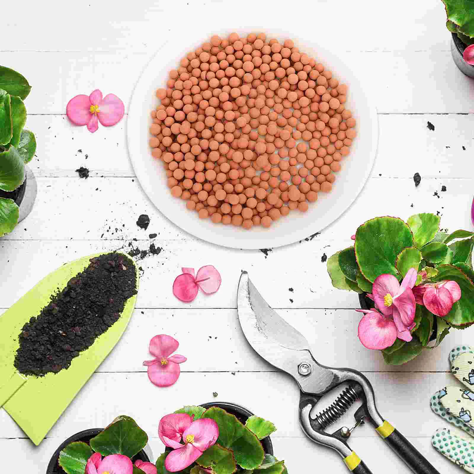 2 Bags Flowerpot Plant Mat Basin Cultivation Soil Stone Surface Decoration Ceramsite Negative Painted Soilless Hydroponic Tools