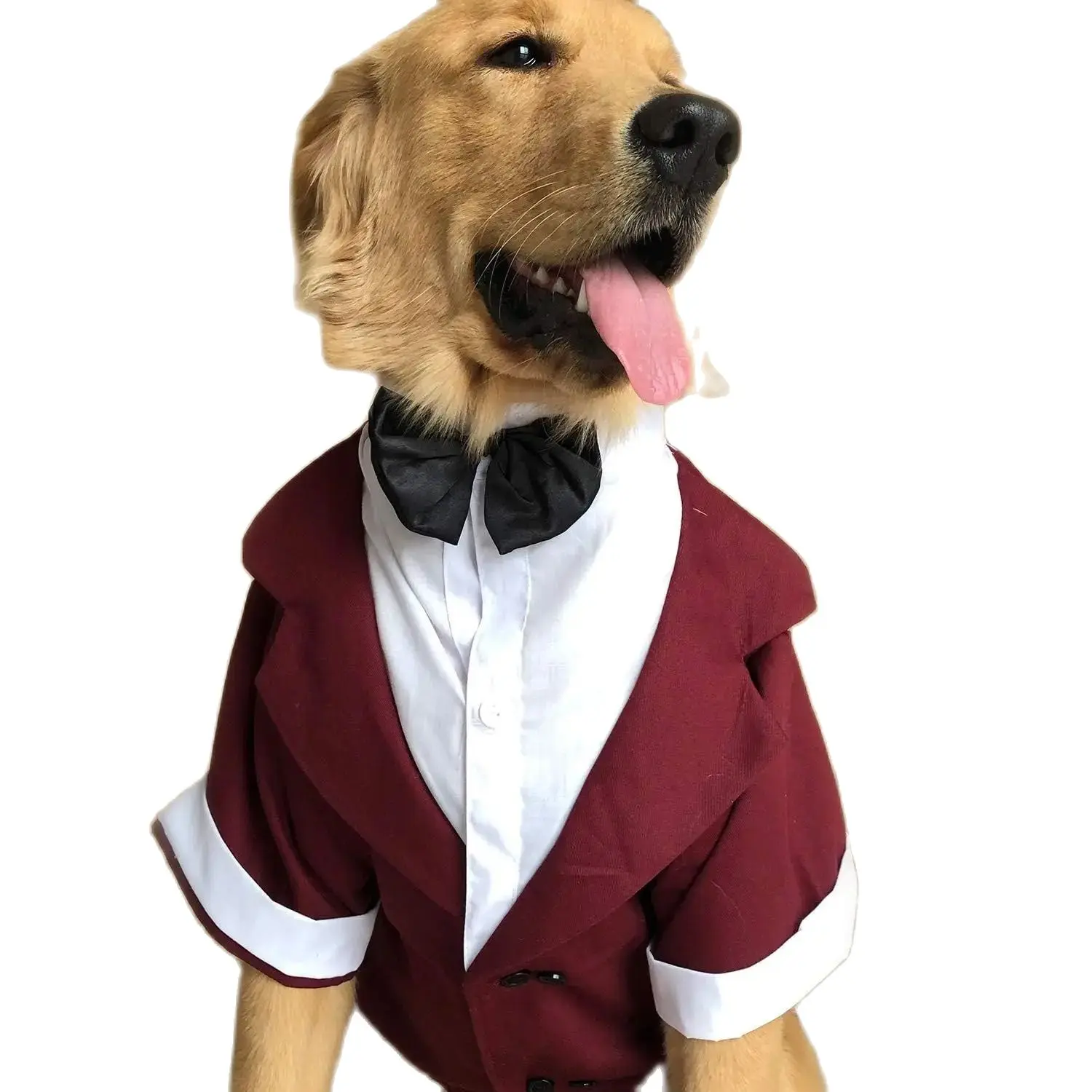 Formal Tuxedo Suit with Black Bow Tie for Large Dogs, Pet Costume, Golden Retriever