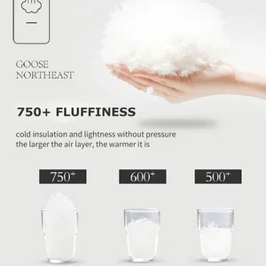 Penalty of the white and downstairs goose, anti -allergen Ultra bounce, hollowfibre quilt, Super King size bed, luxurious duvet, 95% 10 Main Sales Edredom Couple - №6