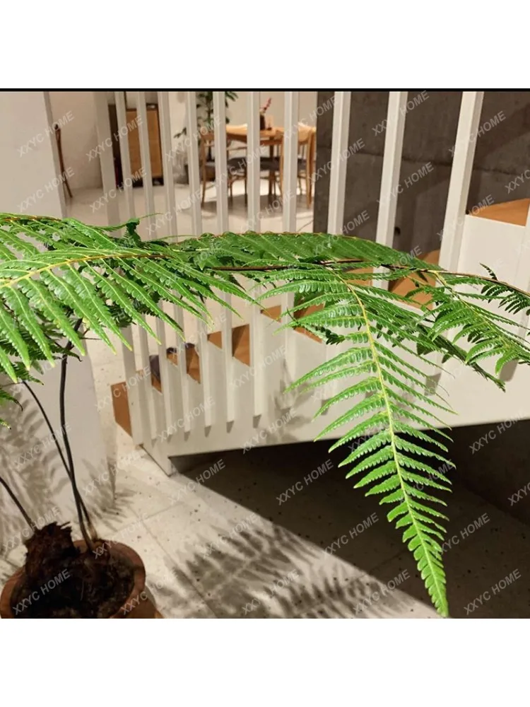 Green Plant Decoration Artificial Tree Fern Indoor Living Room Silent Wind Golden Retriever Floor