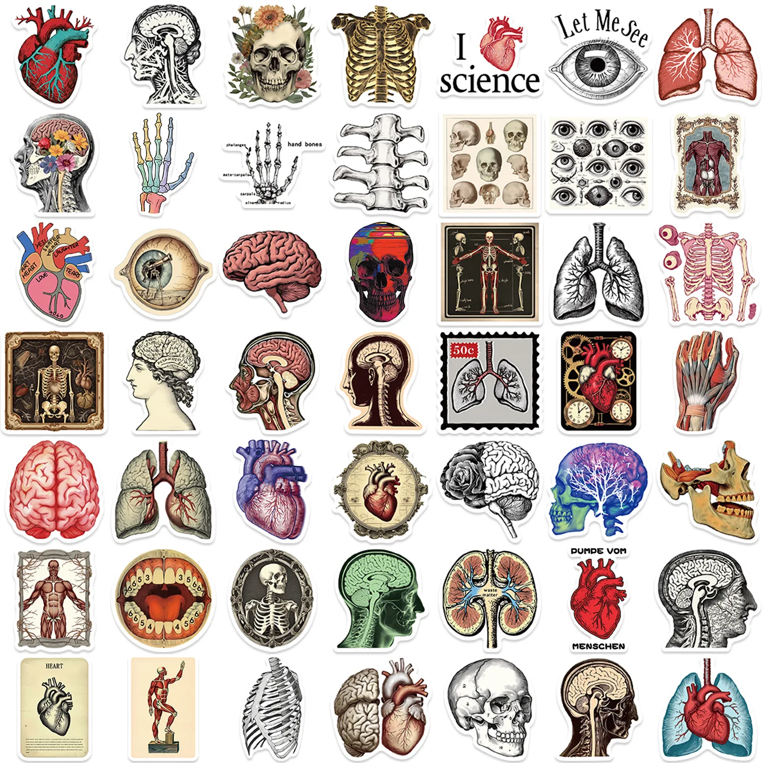 50PCS Retro Scientific Anatomy Sticker Physiology Anatomy Luggage Laptop Cars PVC Guitar Coffee Skateboard Notebook Decals