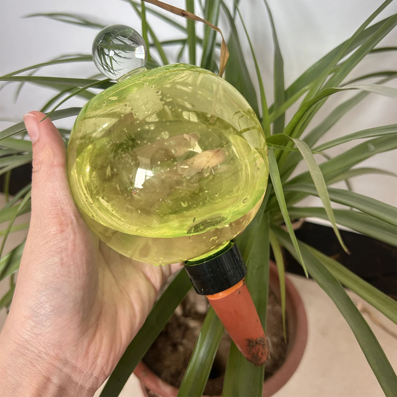Self Watering Insert - أداة ري ذاتي للنباتات، أجهزة ري