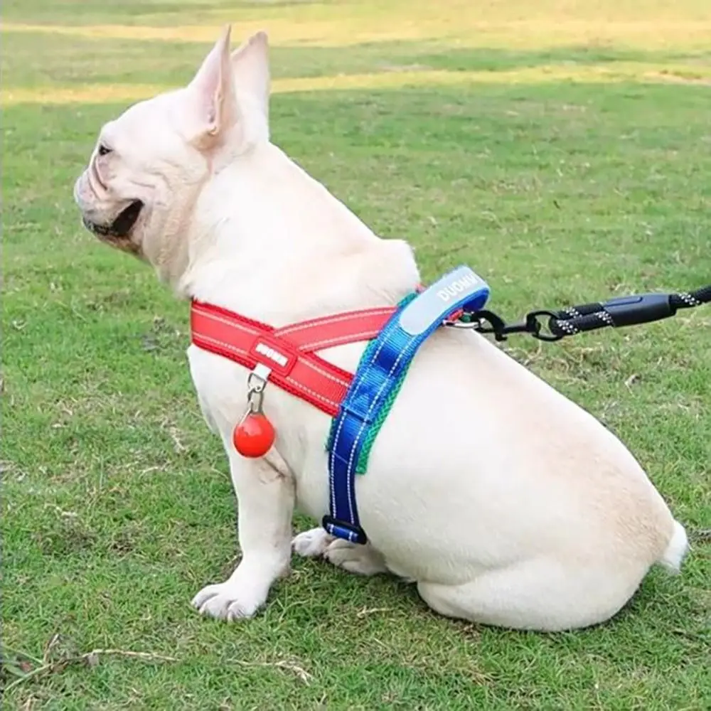 قابل للتعديل الكلب تسخير سترة مريحة عاكسة الكلب حزام الصدر واقية من الانفجار مقاومة للاهتراء سترة للحيوانات الأليفة للكلاب المتوسطة الصغيرة