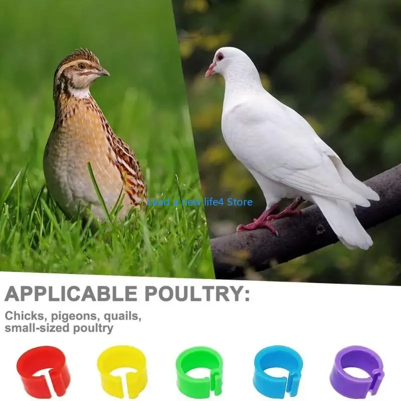 Y55E 200 PCS Clip-On Bird Foot Label Rings for Pigeons Pet Pubrots Budgies Associory Clip Round Clip 8mm Lotectored Color