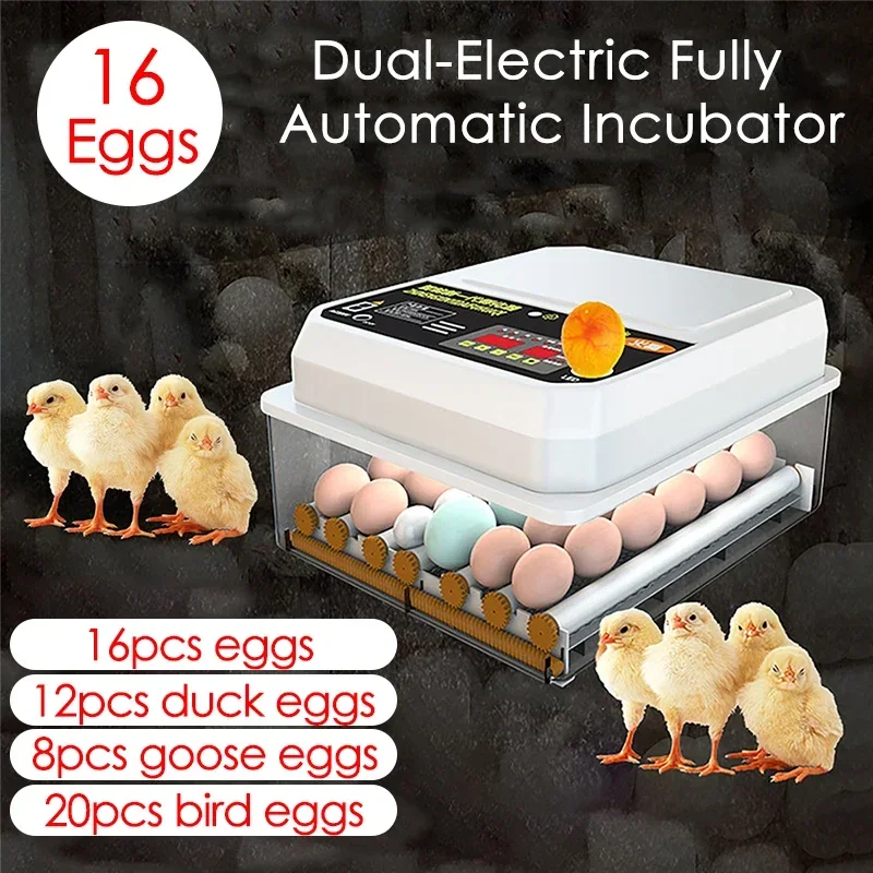 16 Eggs Incubator Dual-Electric Fully Automatic Hatchery Incubation Tools for Chicken Goose Bird Quail Egg Constant Temp Control