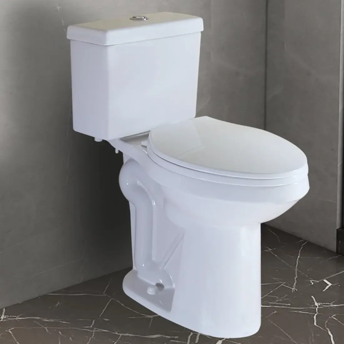 

WZ5088DS 10" Rough-in Toilet Two Piece 20-inch Extra Tall Dual Flush Elongated for Seniors Elderly Tall Disabled, Customized