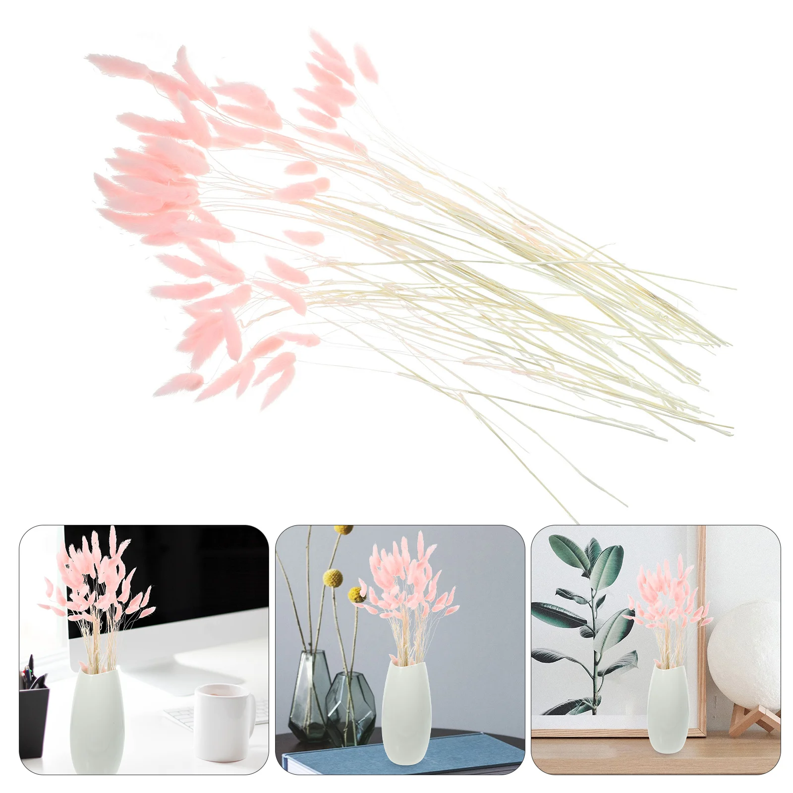 120 قطعة ذيل أرنب مجفف طبيعي عشب طويل الأمد ديكور المنزل الزفاف تشكيلة زهور ذاتية الصنع عشب ذيل أرنب مجفف طبيعي #3