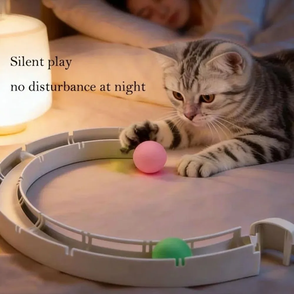 Track Cat Toy - Cartoka