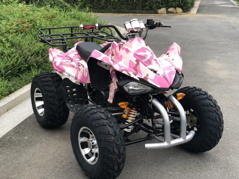 200cc Automatic 4 Stroke 1-Cylinder Air-Cooled ATV 4-Wheeler Chain Drive 4 Stroke 1-Cylinder with Automatic Transmission System