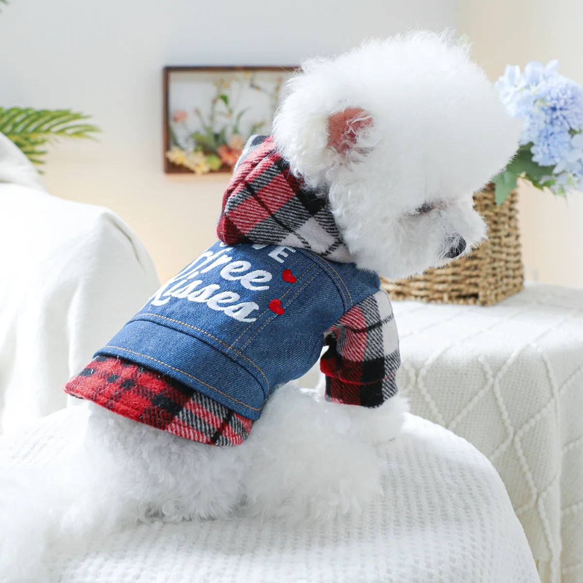 1PC pet clothing dog Spring and autumn kiss denim hat jacket suitable for small and medium -sized dogs