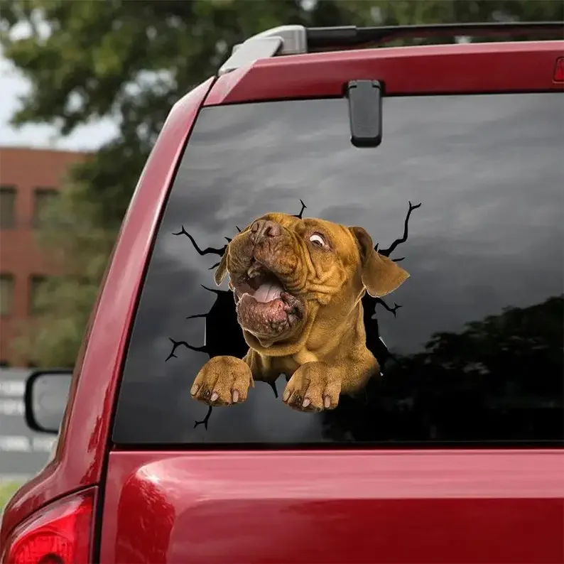 Dogue De Bordeaux Decal - fits cars, windows, laptops and any smooth surface, Dogue De Bordeaux Stickers, Dog Decal, Custom Dog