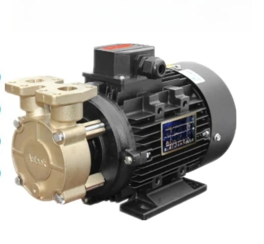 

Magnetic oil pump WD-021 vortex pump 07 10 20 33 hot water no leakage