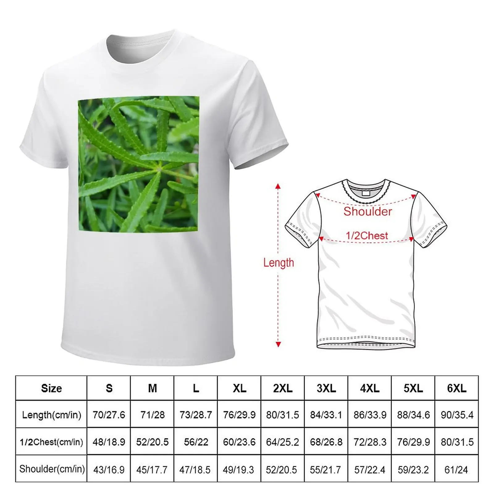 Winter Garden 10 thin pointy green leaves T-shirt graphics vintage clothes customs heavyweights black t shirts for men