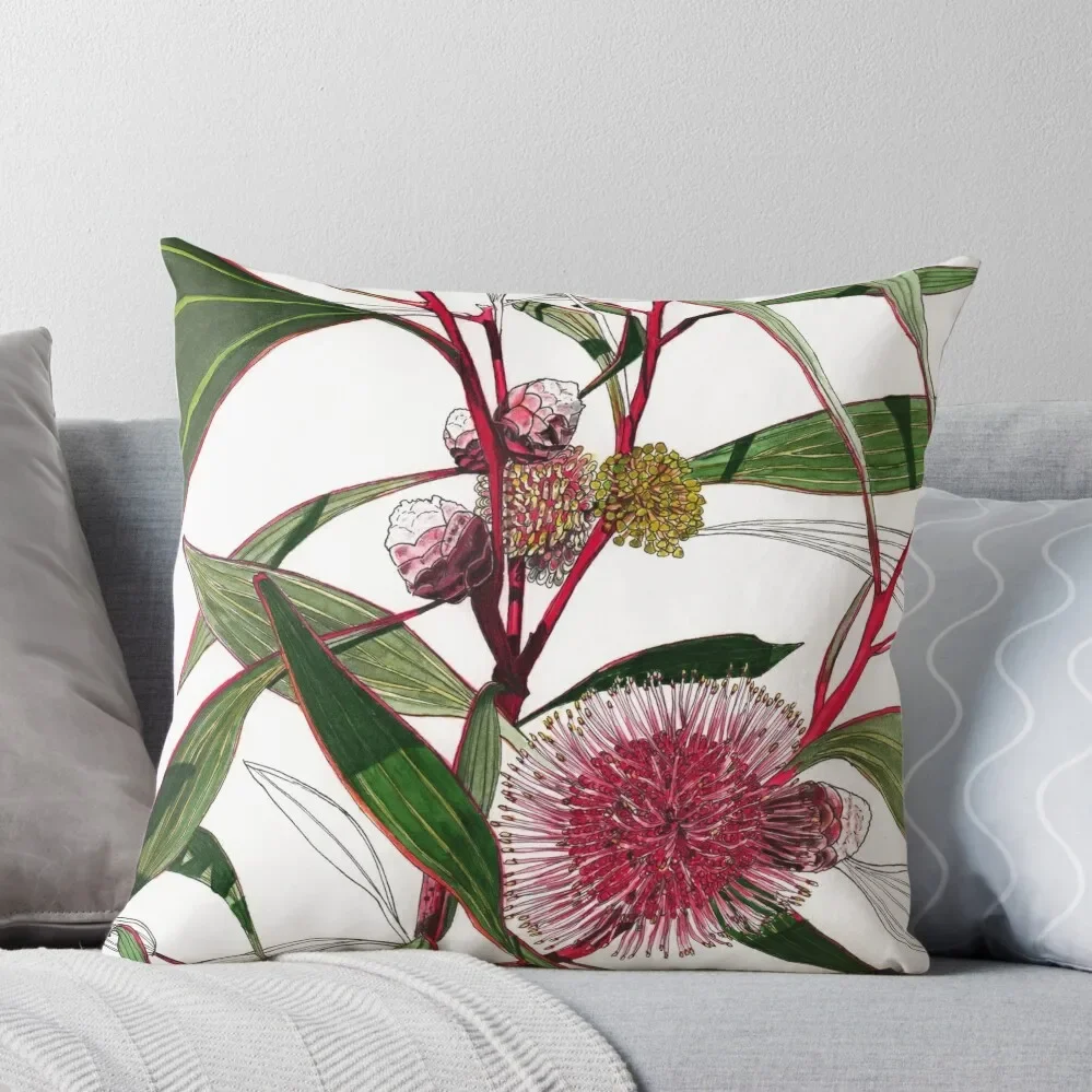 

Hakea pin cushion flowers Throw Pillow Decorative Pillow Covers For Sofa ornamental pillows for living room