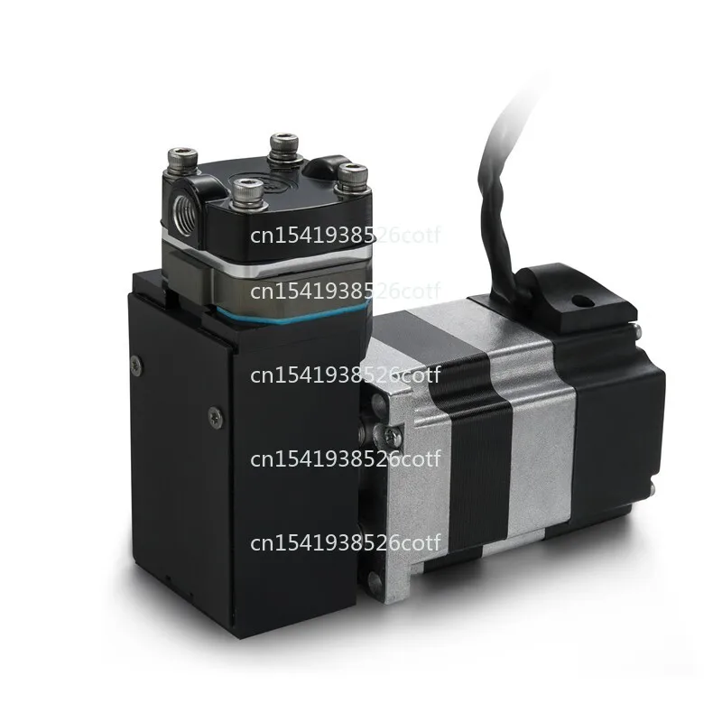 12DB12V24V High Pressure Piston Electric Particle Counting Gas Detection Mini Vacuum Pump