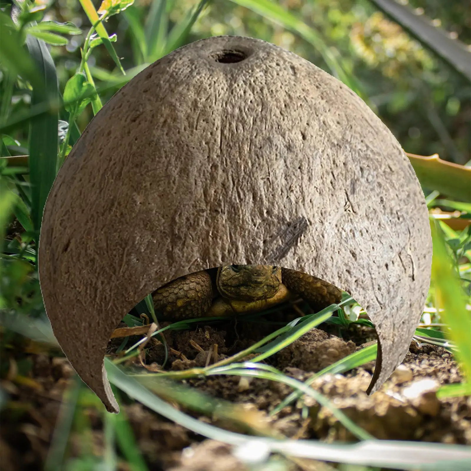 

Coconut Shells Hut Shelter Reptile Hideouts Hiding Cave Habitat Nest Growth for Spider Aquarium Decorations