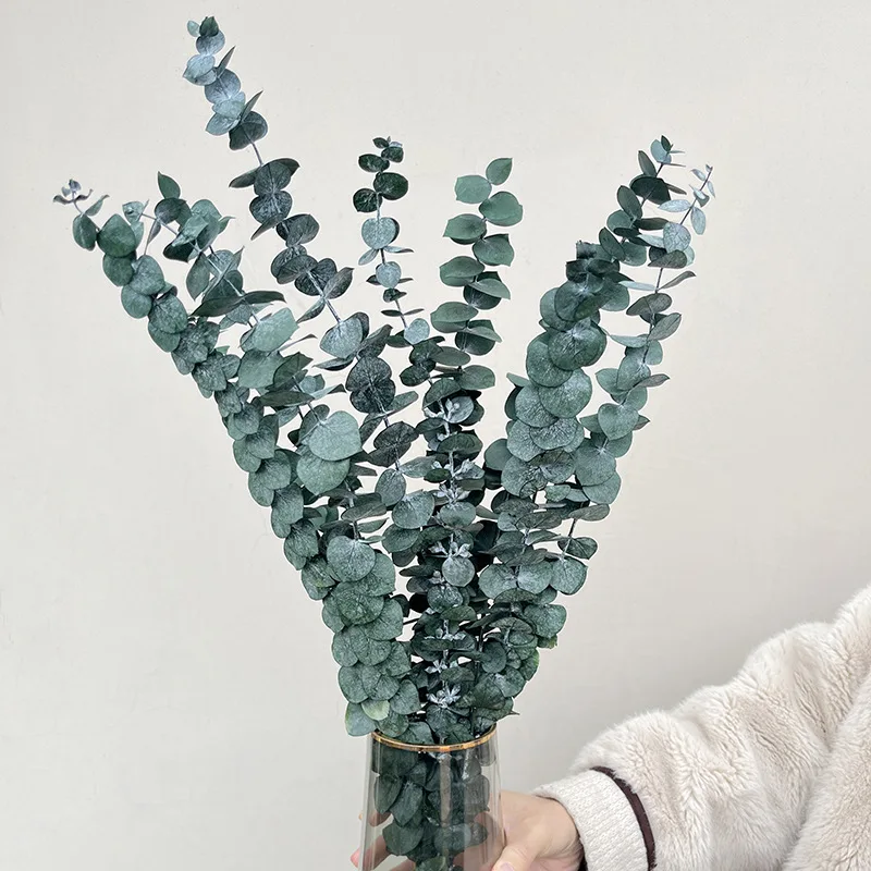 Natural Fluffy Pampas Grass Dry Pompous Grass Decor Wedding Flower Boho Decor Natural Pompas Flower Bouquet Millet flore - Image 5