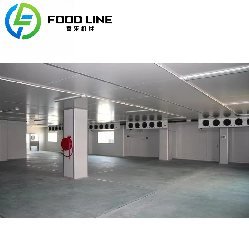 2025 Коммерческая бывшая в употреблении холодильная комната для мясника, холодильная комната для мясника, холодная комната для замораживания, холодное хранение