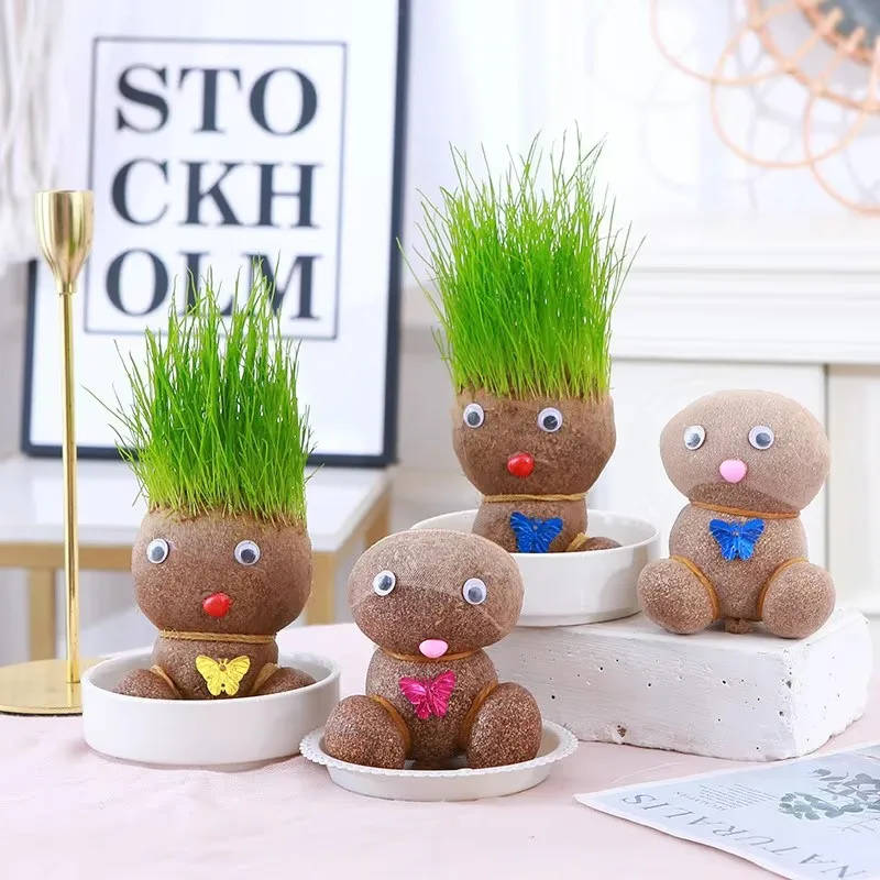 Room Decor Home DIY Decoration Small Growing Grass Head  Plant Beautiful Children Gift Indoor Balcony Baby Pot Planters Home Gif