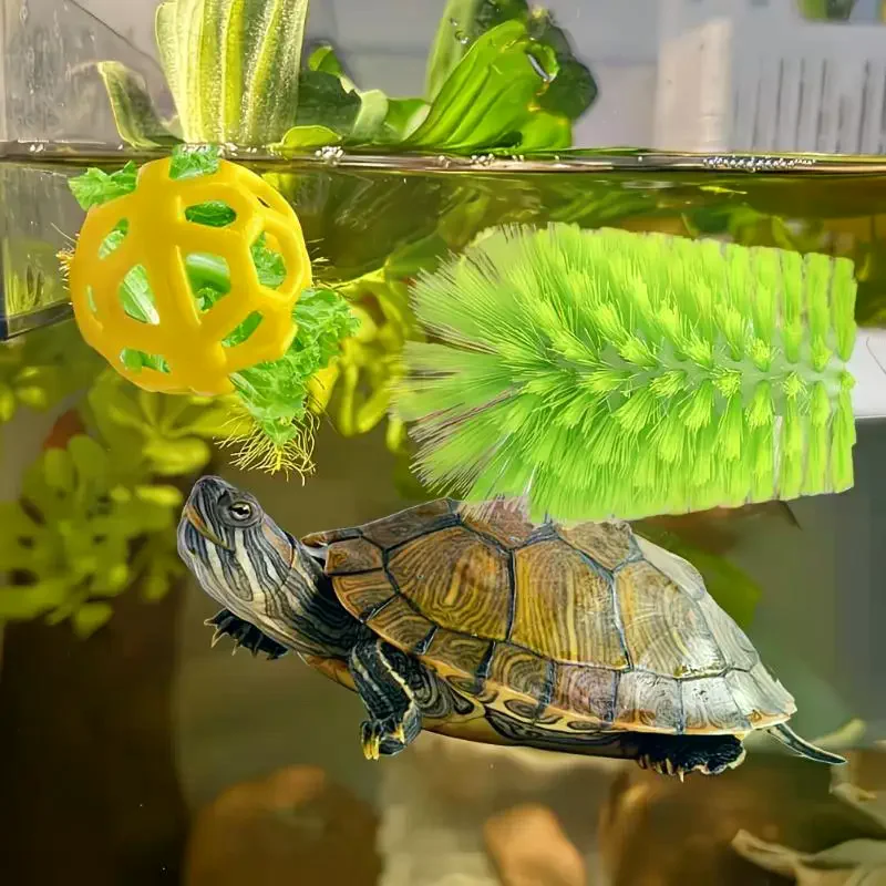 Turtle Brush Scrubber Sucker Shell Cleaning Tank Decorations Feeding Ball Aquarium Ornaments
