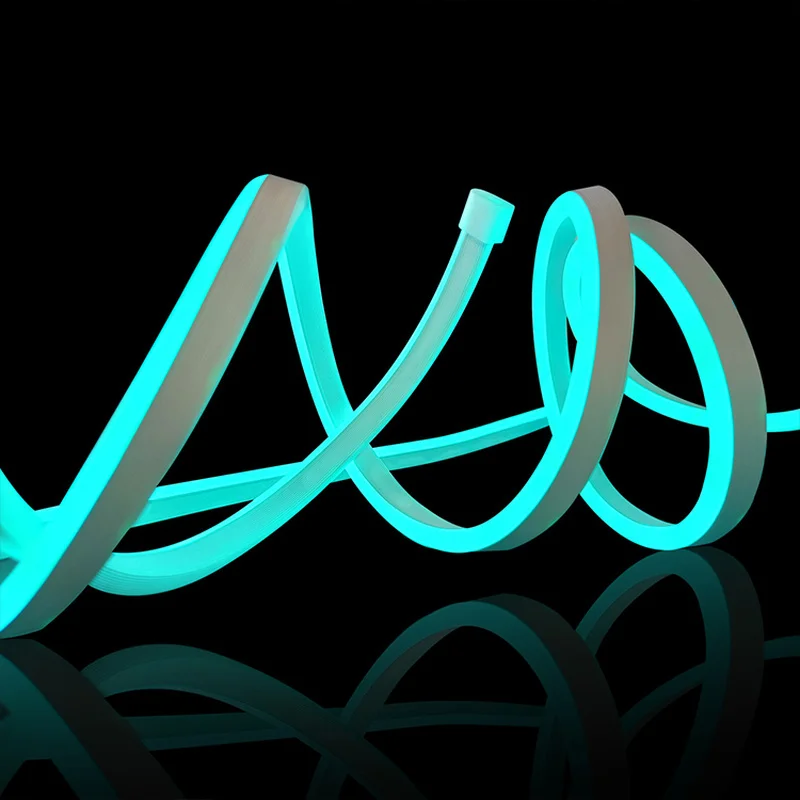 High Brightness RGB LED Neon Strip Light Waterproof Flexible Color Changing for Indoor Home Decor view 5