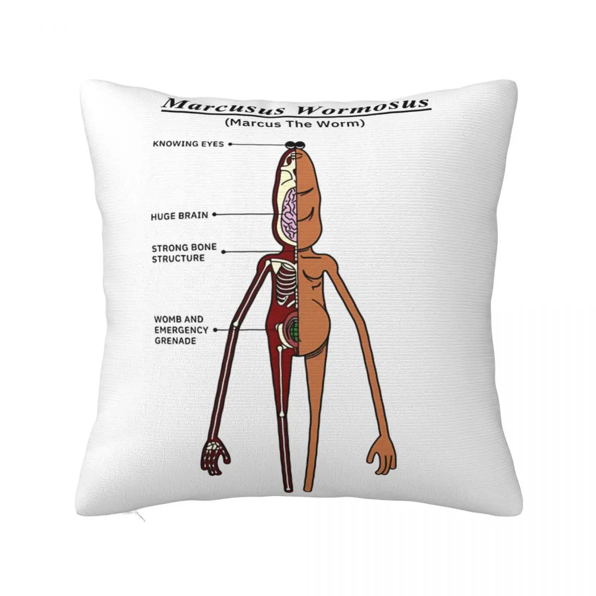 Marcus The Worm Anatomy Pillow Covers Polyester Seat Cushion Case Creative Pillowcase 40*40