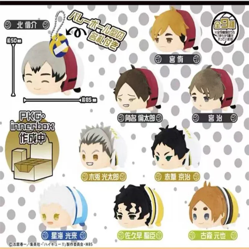 8.5cm Mascot Dolls Vol.5 Anime Haikyuu Miya Atsumu Miya Osamu Kotaro Bokuto Cartoon Stuffed Model Plush Pendant Kids Gift Toys