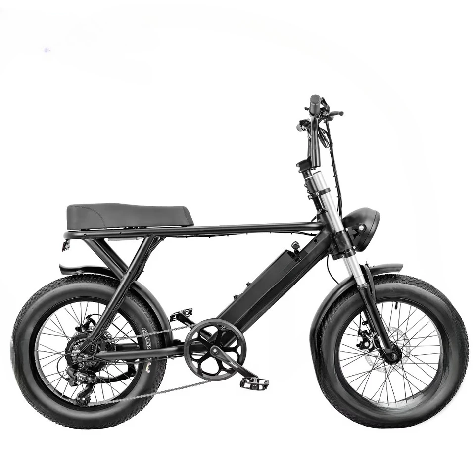 Hot Selling Super Power 73 High Power Retro Fat Tire Electric Bicycles Stealth Bomber Electric Bike Electr Dirt Bike image 5