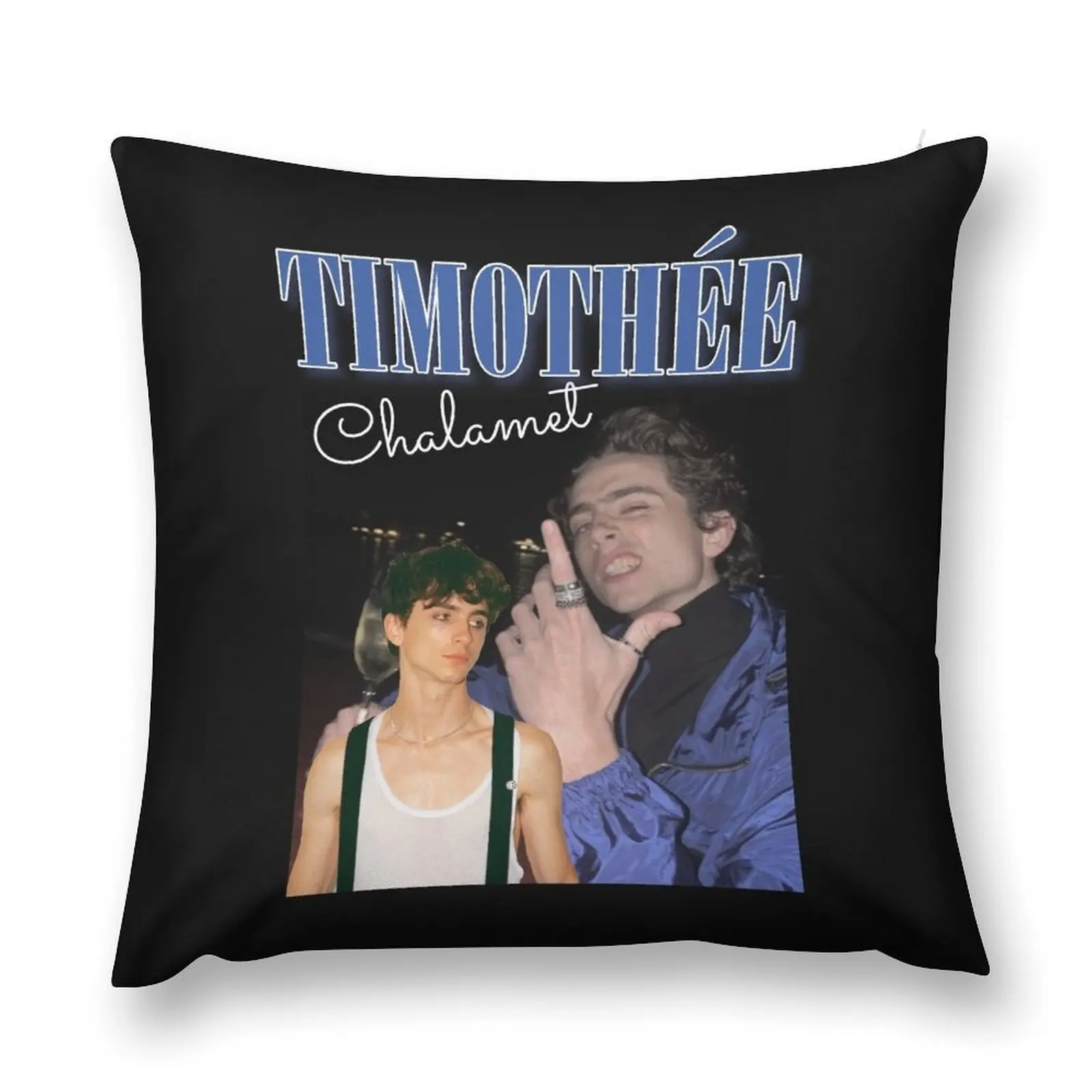 

timothee chalamet Throw Pillow covers for pillows Decorative pillow case Decorative pillowcase home decor items pillow