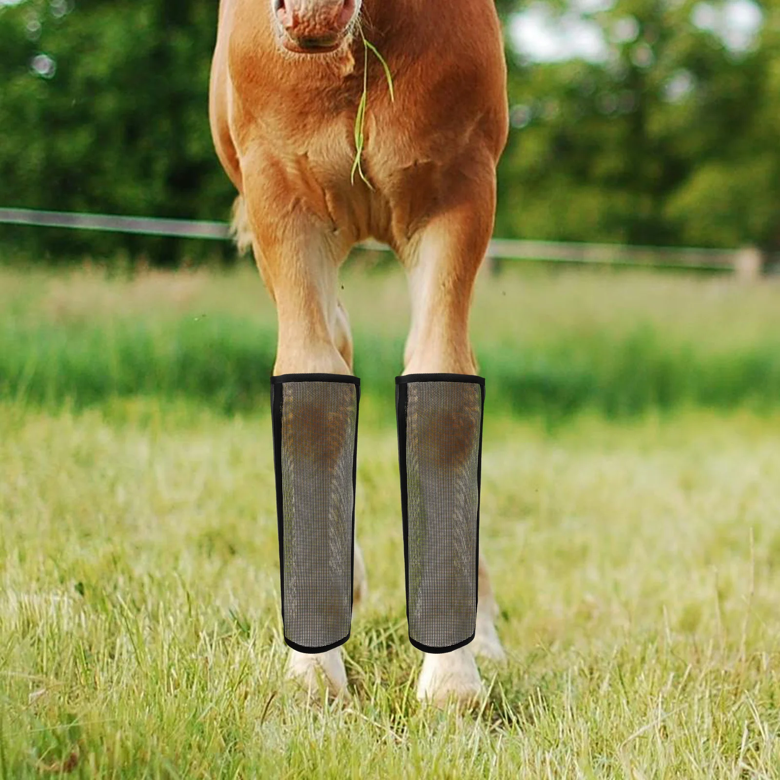 

4 Pcs Horse Boot Protection Breathable Mesh Boots Riding Comfortable Fly Net Anti Slip Leg