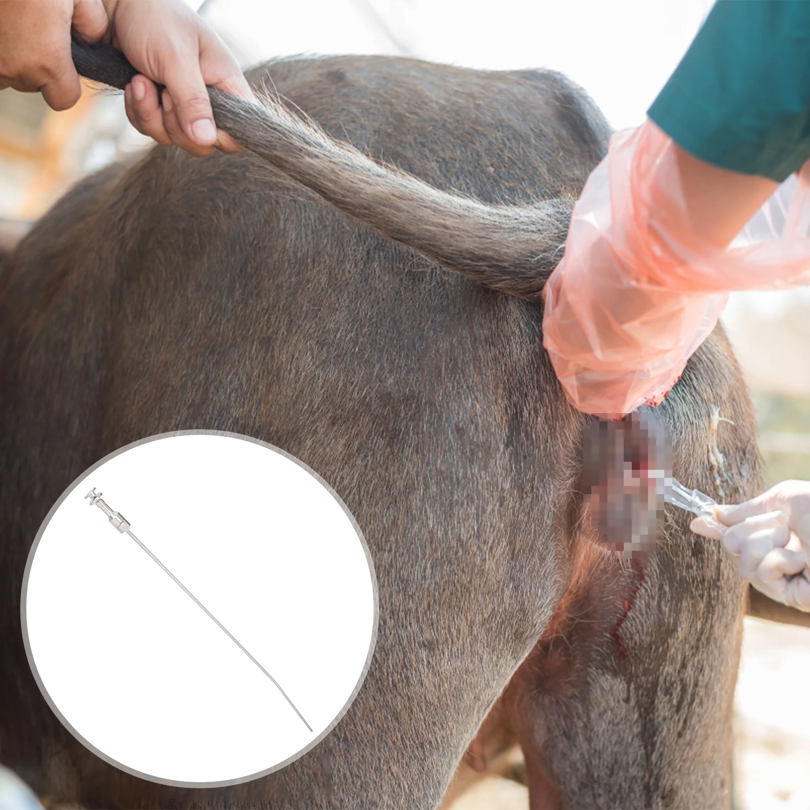 

Cattle Stainless Steel Needle Smooth Burr-Free Tool Artificial Breeding Easy Use Farm Supply
