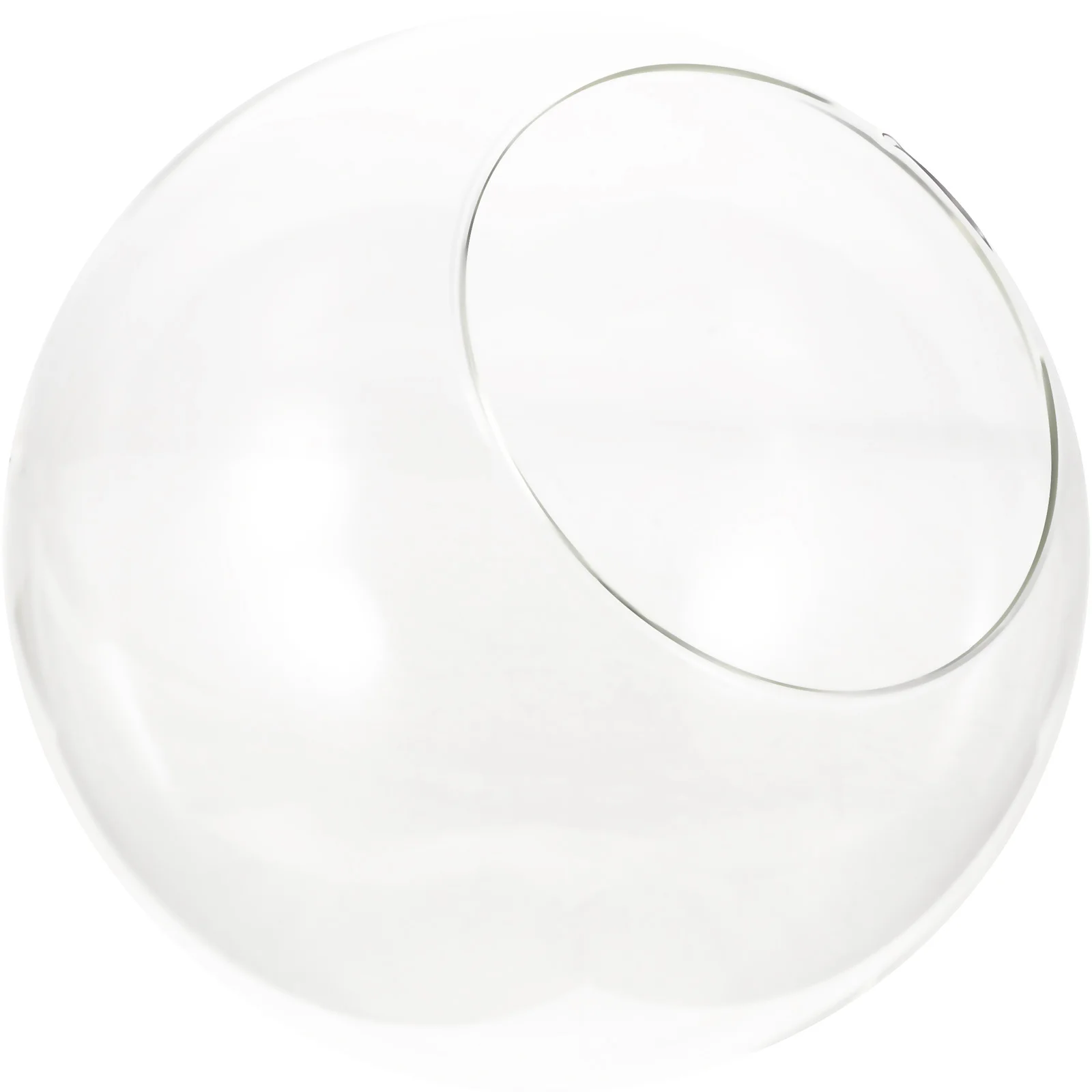 زجاجة طحالب زجاجية صديقة للبيئة، حاوية زجاجية متينة مقاومة للسقوط، حاوية زجاجية للمناظر الطبيعية الصغيرة #6