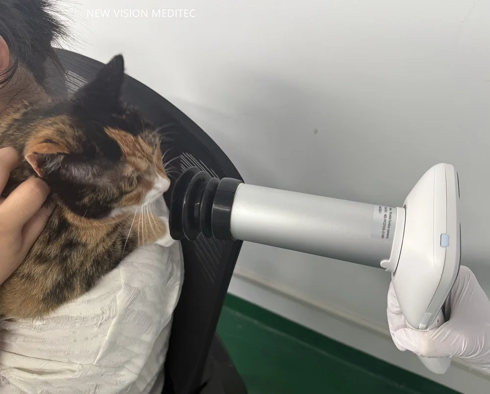 

Профессиональная камера для домашних животных, ветеринарная ретиевая камера для продажи