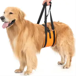 Dog Assist Belt Portable for Large Dogs Soft Padded Adjustable Pet Rear Leg Support For Older Dog Rehabilitation Harness Leash