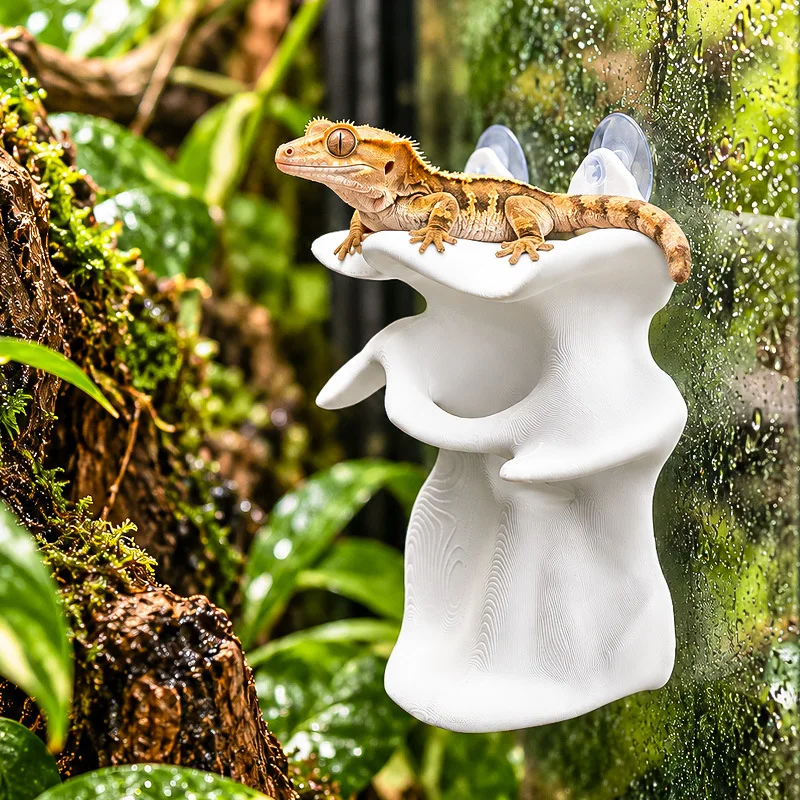 Reptile Wave Rider Hideout, Suction Cup Floating Climbing Platform, PETG Molded Terrarium Decor for Crested Gecko Tree Frog Tank