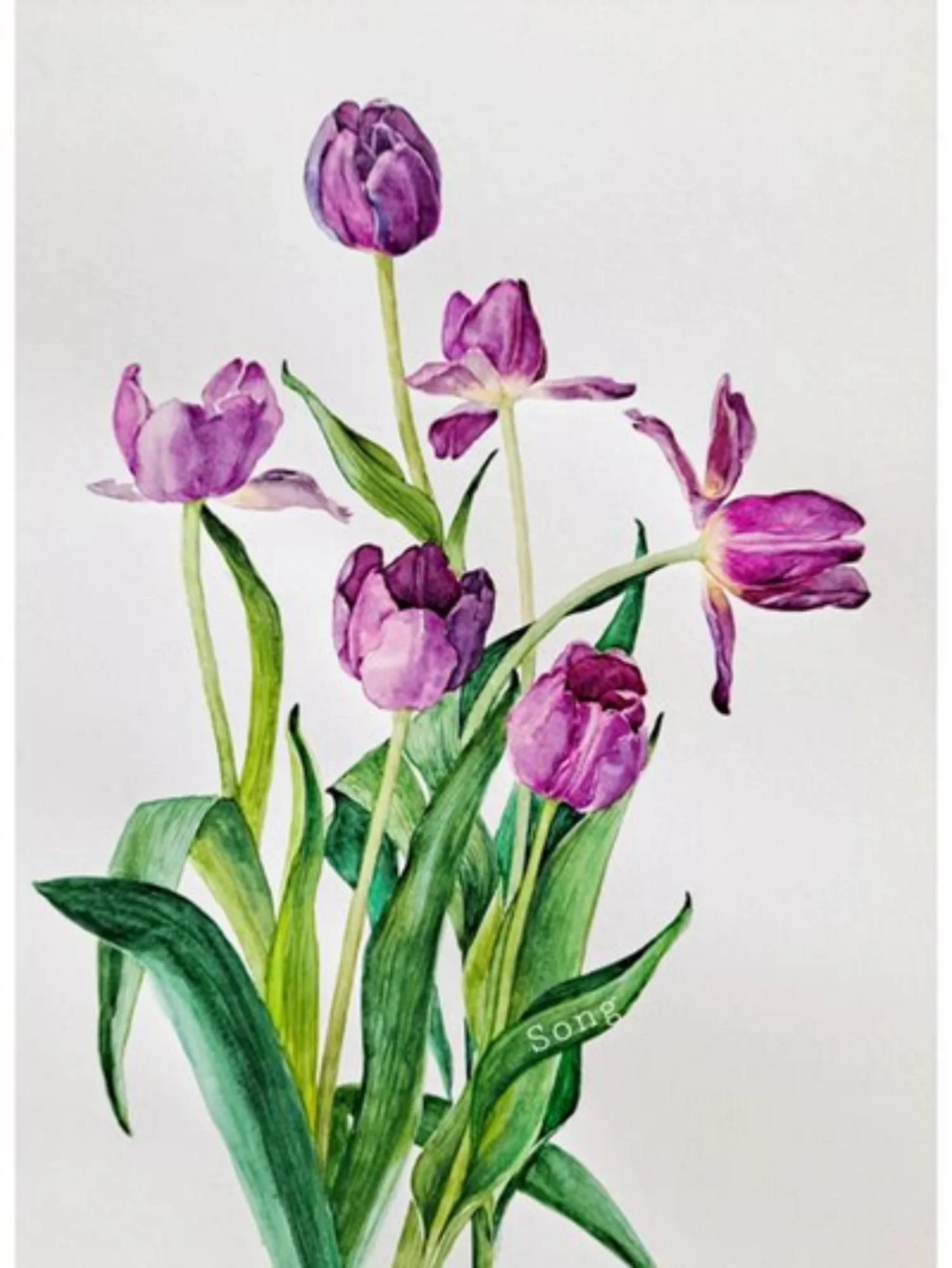 300491-Romantic Floral Hand Paint By Numbers Home Decoration Art