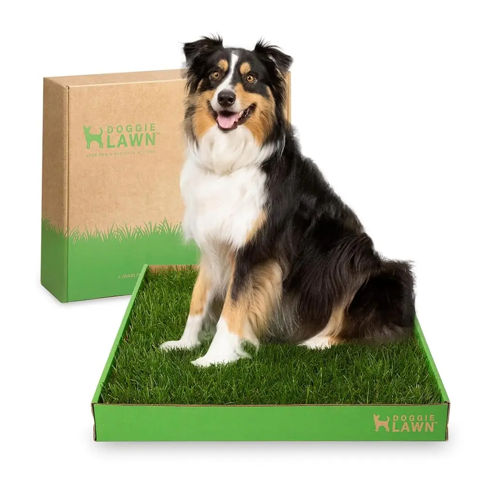 

Real Grass Puppy Pee Pads- 24 X 24 Hes - Perfect Indoor Litter Box For Dogs - No Mess, Easy-To-Use - Potty Training For Pets -
