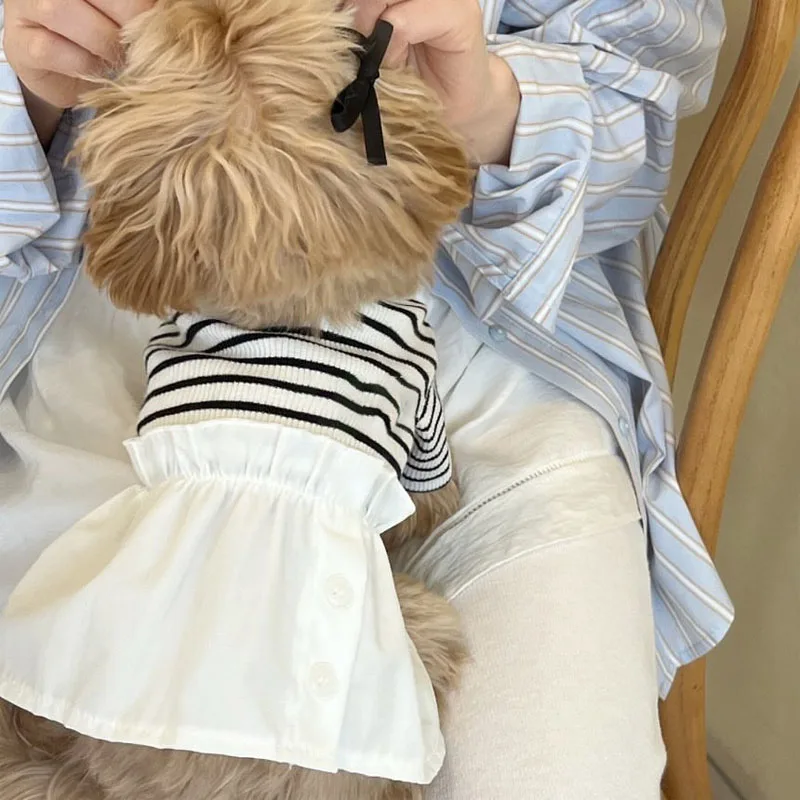 

Dog Dress Summer Striped Hoodie White Skirt Pet Dog Clothes For Small Dogs Chihuahua Poodle Long Sleeve Puppy Sweatshirt Dresses