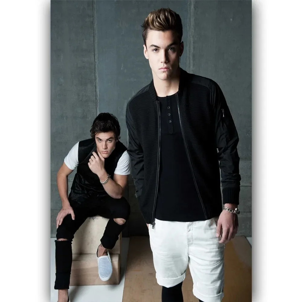 Dolan Twins New Custom Vine Hot Music Singer-Silk Art Poster Wall Sticker Decoration Gift