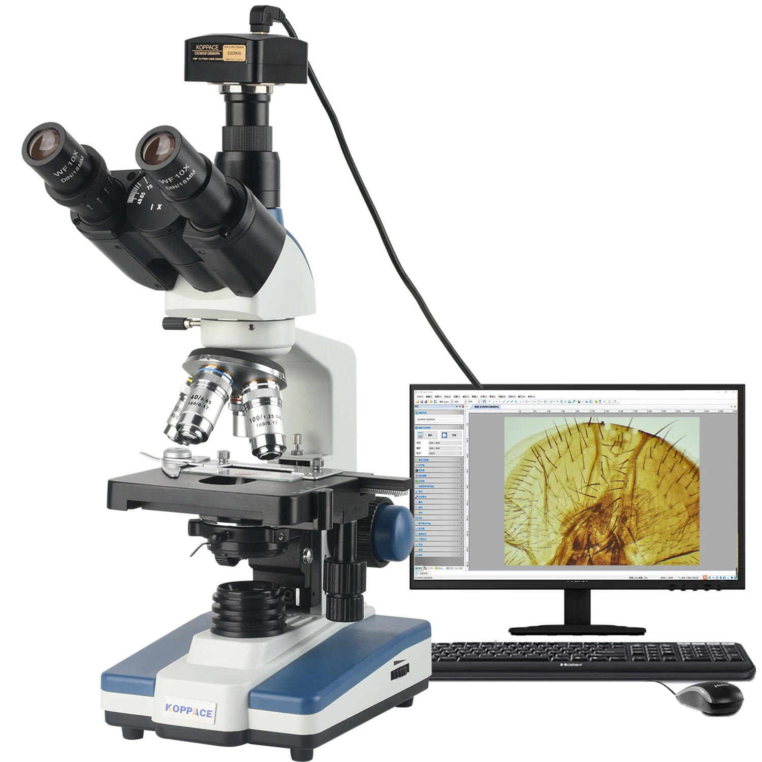 

‌KOPPACE 291X-7280X 12MP Electron Lab Microscope with USB2 Camera‌
