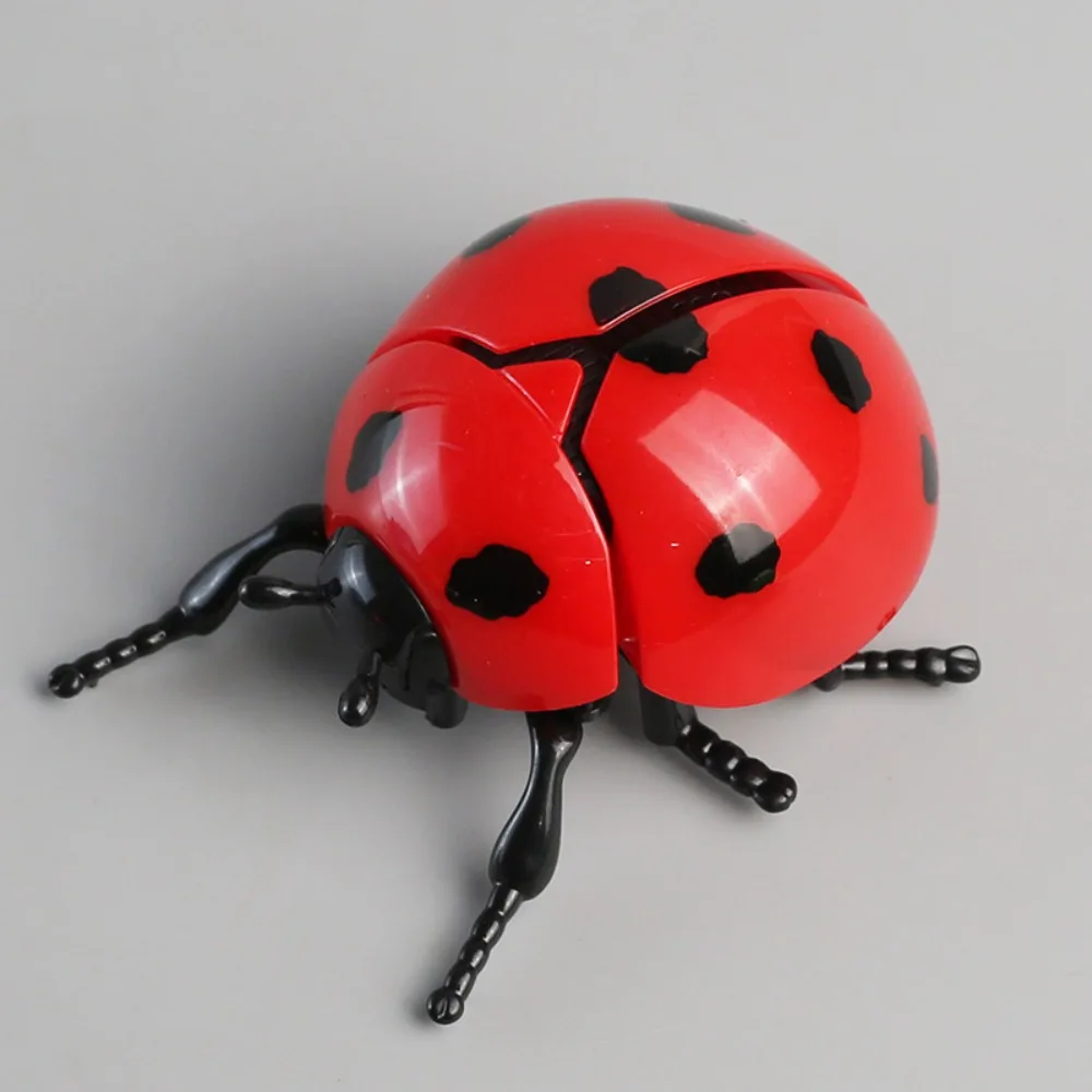 Bee Beetle Chain Winding Insect Simulation Plastic Animals Insect Model Cicada Scarab Realistic Design Wind Up Insect