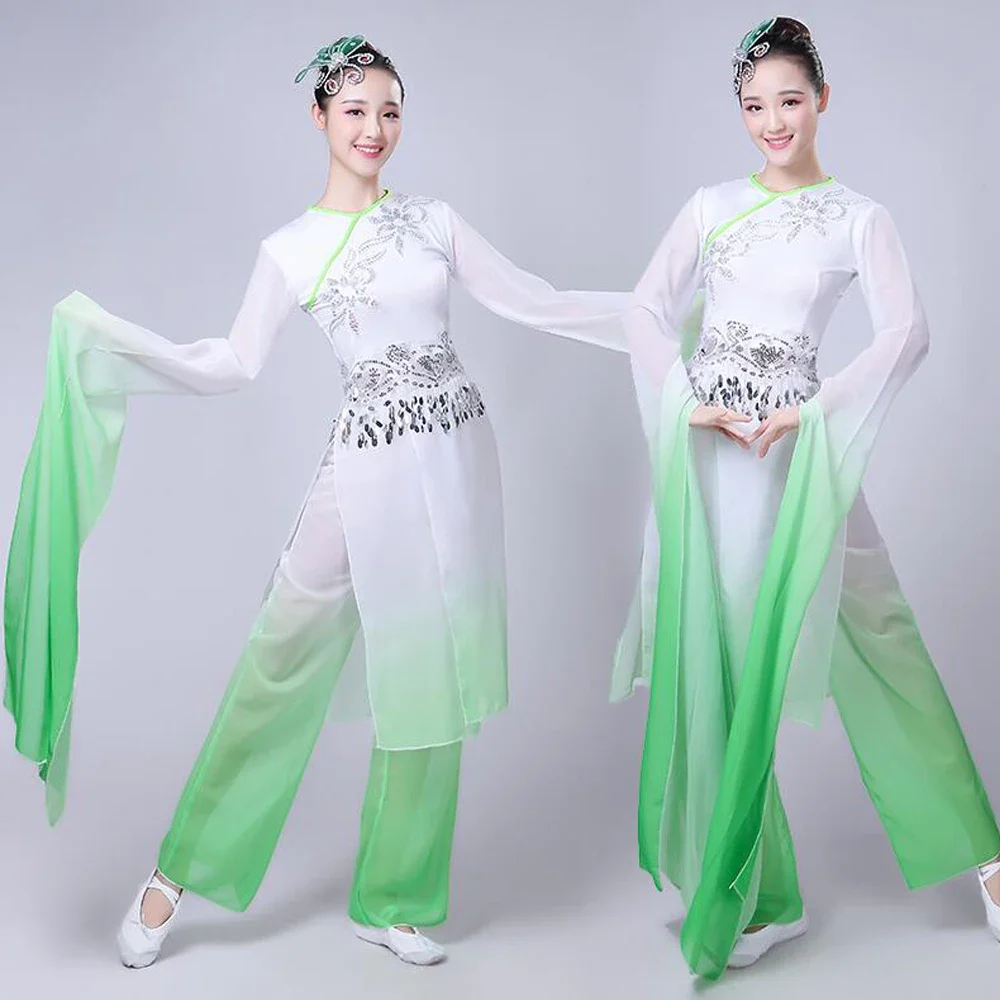 New Chinese Folk Dance Classical Dance Costumes Women Water Sleeve Performance Clothing Girls Long Sleeve Yangko Dance Costumes