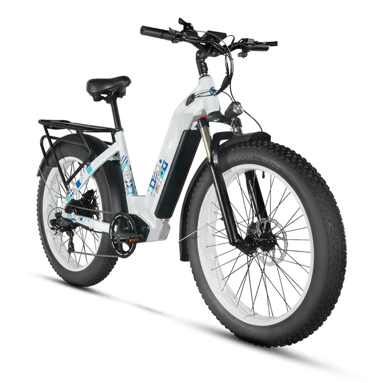Chinese OEM Factory 48V 60V 72V 8fang Mid Drive Motor 28 Inch Ebike 750w All Terrain Electric Mountain Bike For Adult