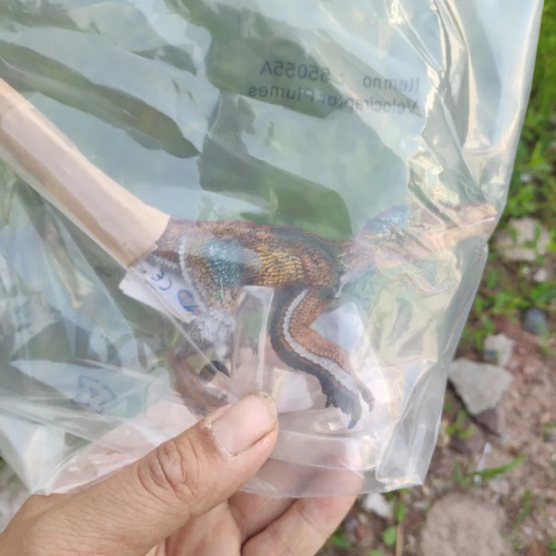 실제 같은 공룡 모형 장난감 스테고사우루스 벨로시랩터 수집품 생일 선물 액션 피규어 수집품 장난감 및 취미