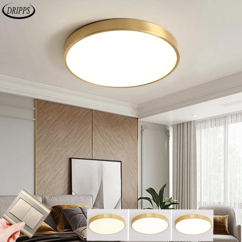 

Modern Nordic LED bedroom living room ceiling lamp balcony study light aluminum alloy lighting chandelier Ceiling factory direct