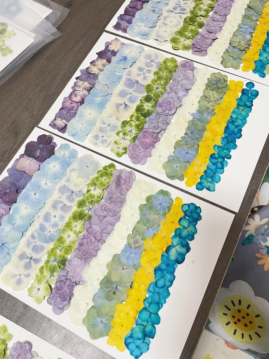 300Pcs Mixed Large Pack Hydrangea Set Real Flowers Pressed Flowers Teaching Materials for Children Resin Dried Flowers Phone Case DIY Photo Frame Stickers Envelope Card Decoration